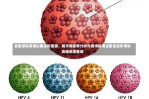 全国感染高峰进度实时追踪，城市间差异分析与查询指南全国各城市感染高峰进度查询