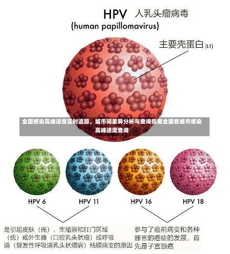 全国感染高峰进度实时追踪，城市间差异分析与查询指南全国各城市感染高峰进度查询-第1张图片
